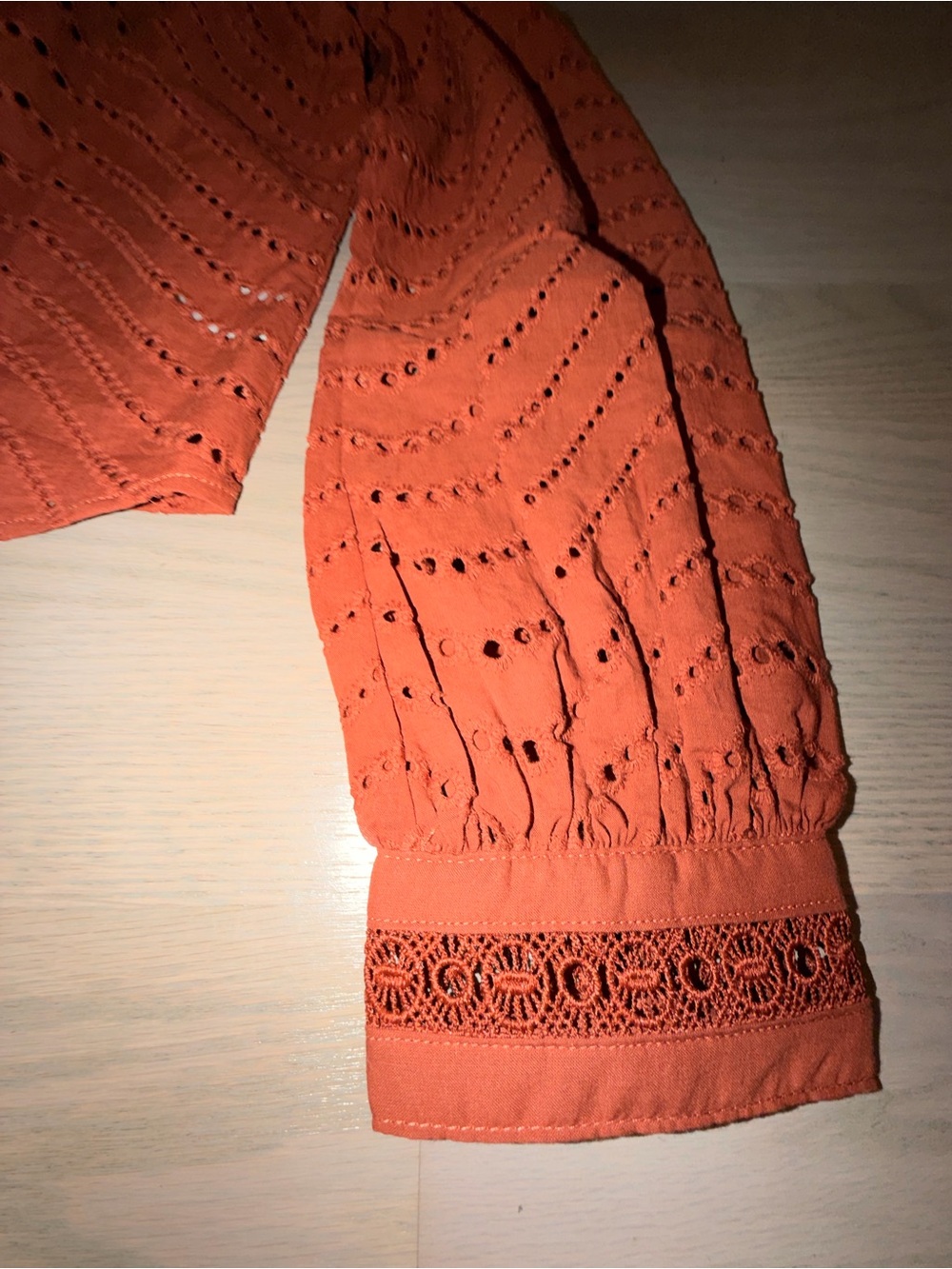 Caroline Constas Rust Eyelet Ruffle Blouse - Picture 3 of 9